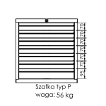 Moduł CARBON Plus typ 